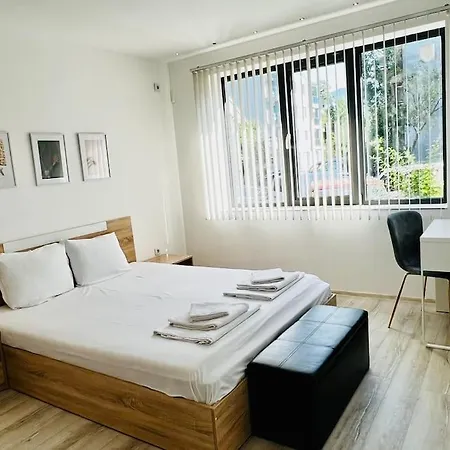 Classic Modern With Parking Place Sofía