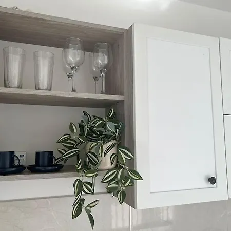 Classic Modern With Parking Place דירה סופיה
