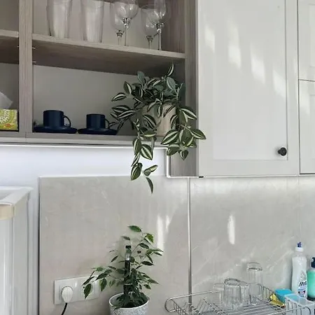 Classic Modern With Parking Place ソフィア