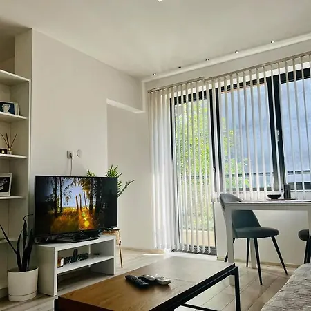 Classic Modern With Parking Place Sofía