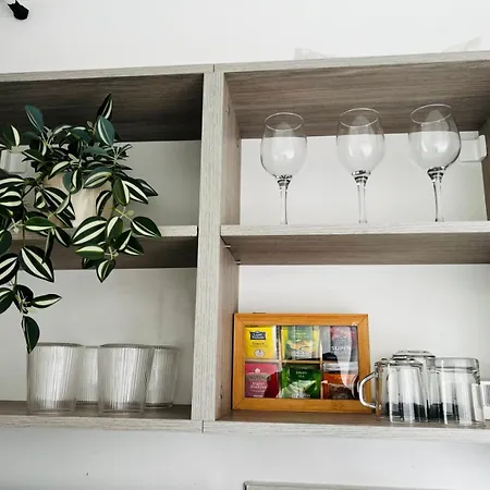 Classic Modern With Parking Place شقة